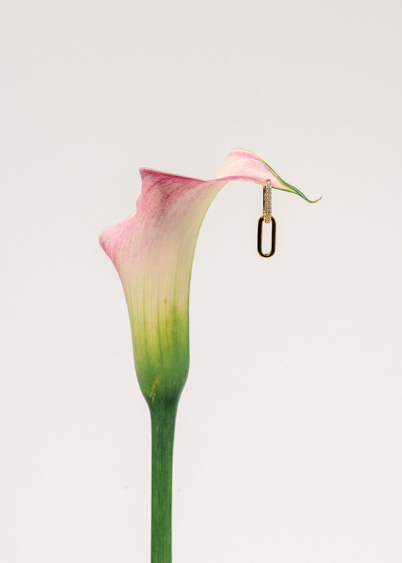 hochwertige Creolen mit Anhänger aus 18 Karat Vergoldung und 925 Sterlingsilber platziert an einer Blume mit weißem Hintergrund.