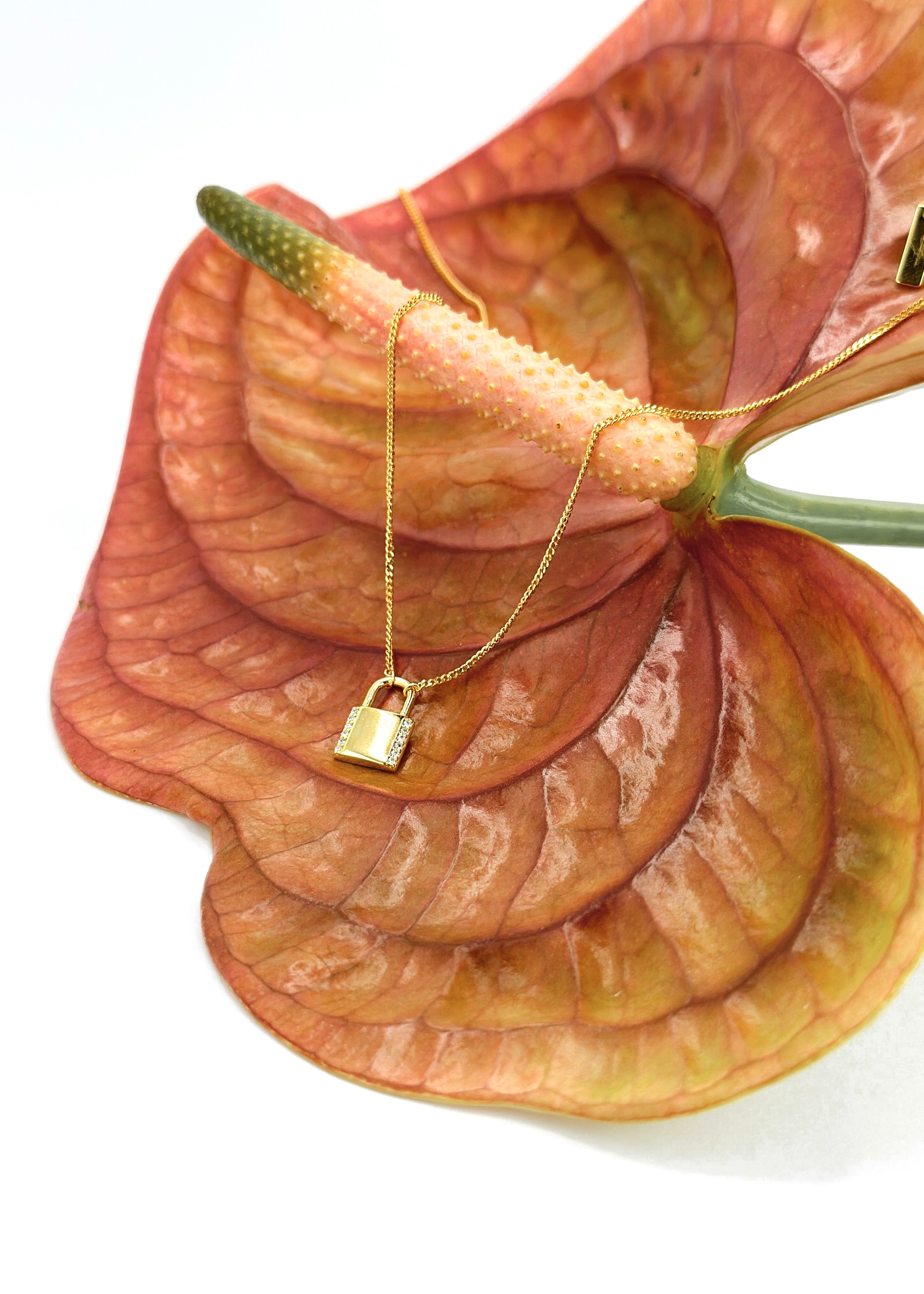 Goldene Maktub Schloss Kette aus 18 Karat Vergoldung und Sterlingsilber platziert in einer orangenen Blume 